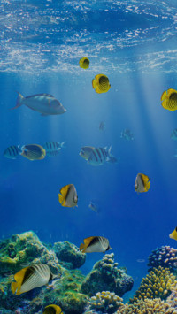 海底世界