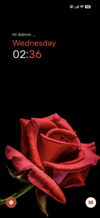 Scarlet Rose