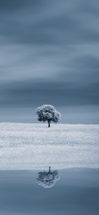 节气：小雪