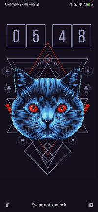 Cat -Dark _3MDS