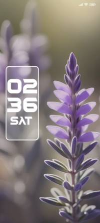 Lavender