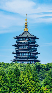 惊鸿一瞥 绮丽画卷