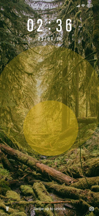 Forests_3MDS