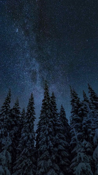 Night sky and starry sky