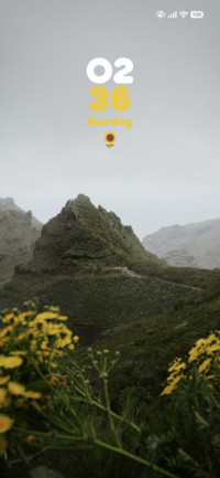 Overcast