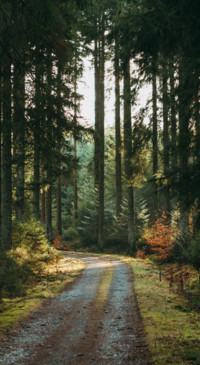 Nature B5 (20)