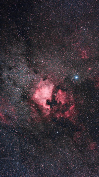 Nebulae in the universe