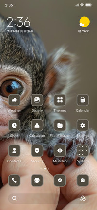 Baby Monkey