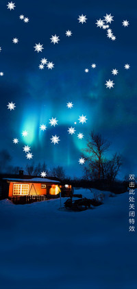 飞雪之夜