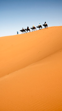 desert