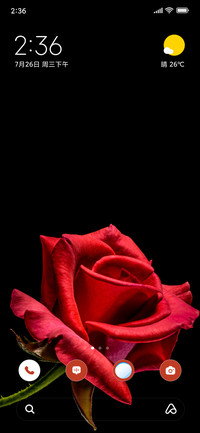 Scarlet Rose