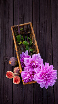 Dahlia
