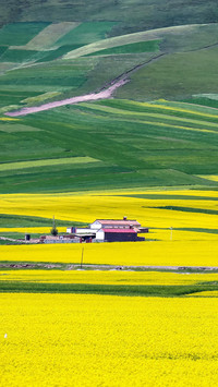 VCG211189316892