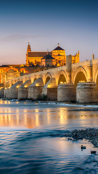 World famous bridges 2