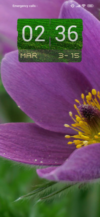 lavender petals