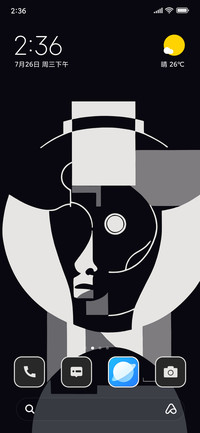 Geometric Face
