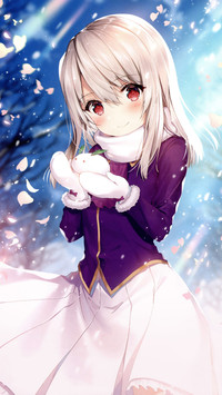 冬天的雪花