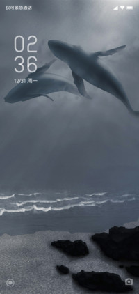 Jing 鲸鱼