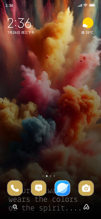 Holi Festival