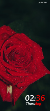 Petal Charm