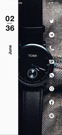 Elegant Watch