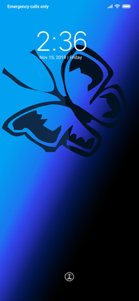 Butterfly_DWM3