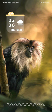 WildLife_7