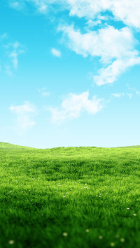 Green eye protection prairie wallpaper