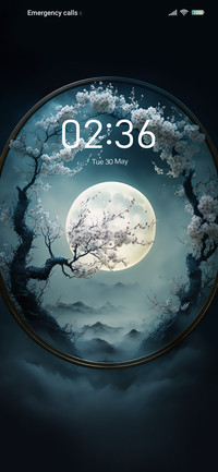 Moon in the mirror