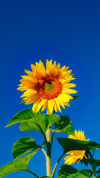 Natural scenery-14