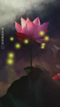 荷花之意