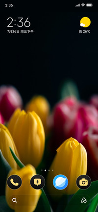 Tulip Ember
