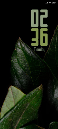Leaf Beauty