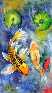 Lucky Koi Fish Illustration