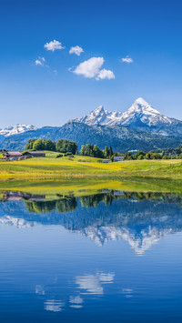 Landscape vegetation