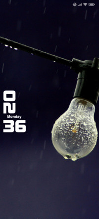 Bulb