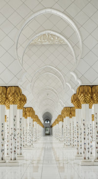 Palace (4)