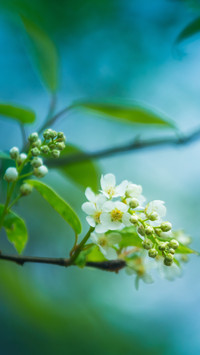 Warm spring sun