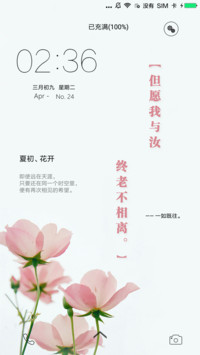 夏初花开