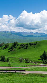 The grassland stretches endlessly under the sky's clouds.