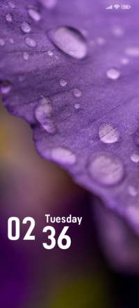 Drops