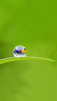 Spring scenery-13
