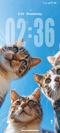 Cats
