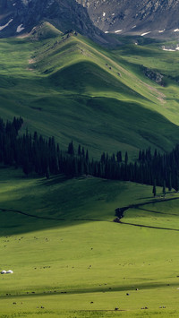 Xinjiang
