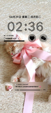 贪睡趴趴猫