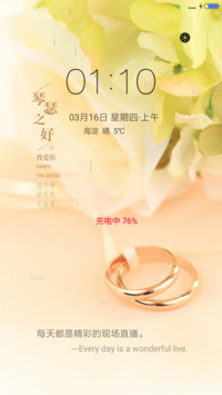 琴瑟之好