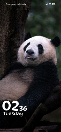 Gentle Bamboo