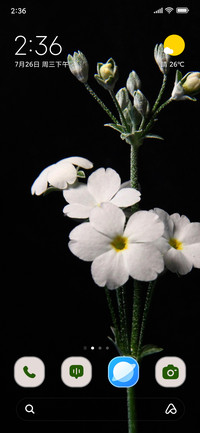 White Flower