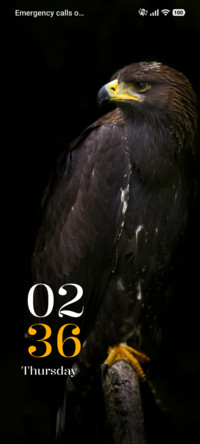Black Hawk