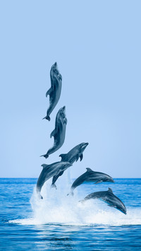 海洋生物冷知识